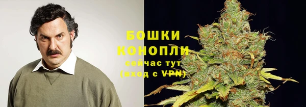таблы Осинники