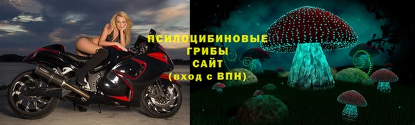 spice Осташков