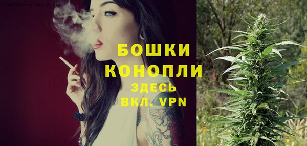 spice Осташков