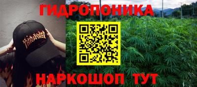 эйфоретик Донской