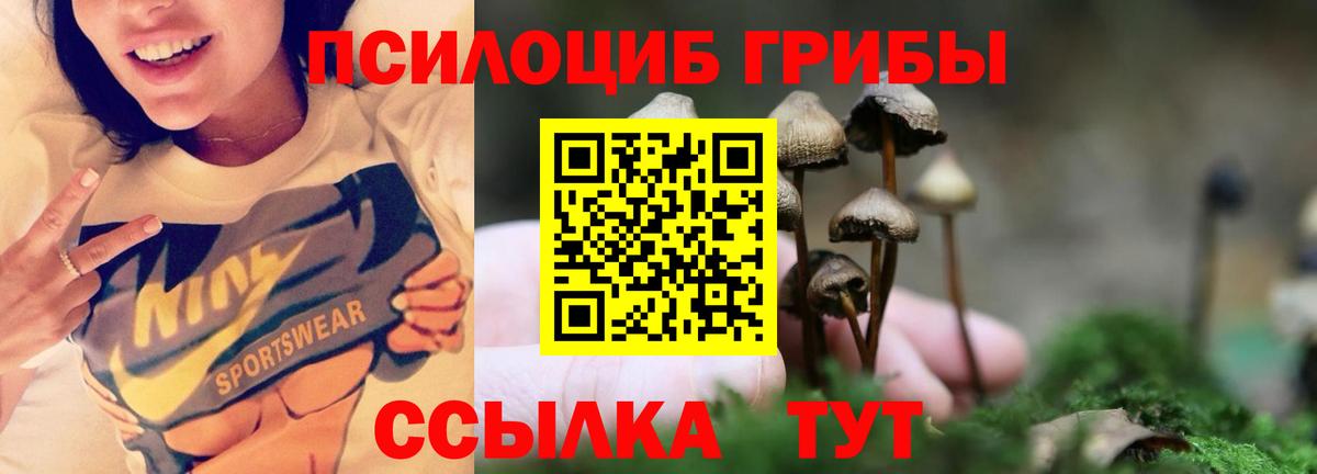 Каннабис  КОКАИН  NBOMe  МЕФ  Масло THC  Метадон  Molly  Хэш  Лыткарино  Вход с VPN  A-PVP 
